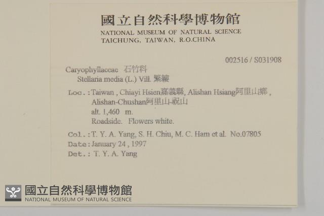 Accession Number:S031908 Collection Image, Figure 2, Total 2 Figures