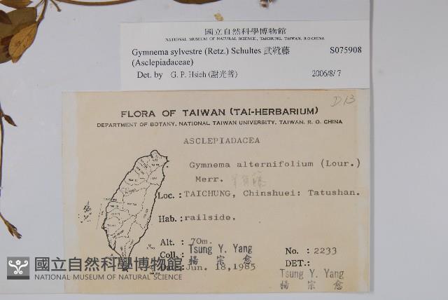 武靴藤藏品圖，第2張