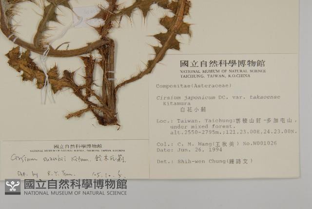 細川氏薊藏品圖，第2張