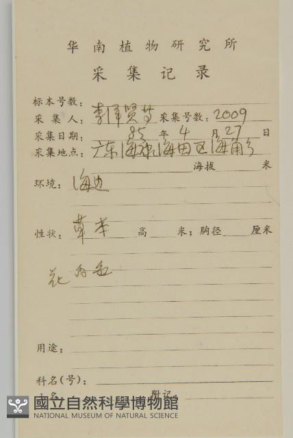 白鼓釘藏品圖，第2張