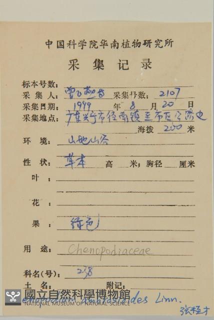 臭杏、土荊芥藏品圖，第2張