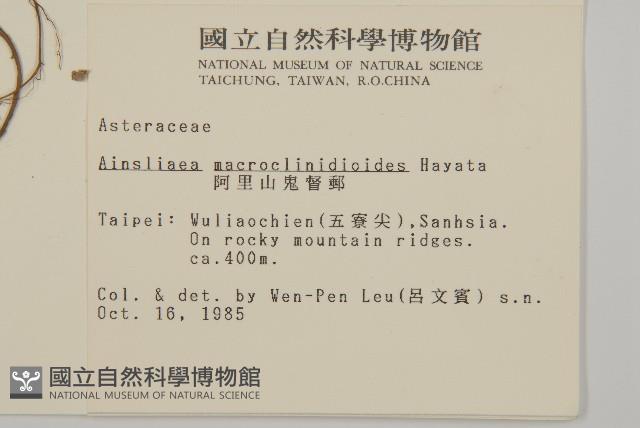 阿里山鬼督郵藏品圖，第2張