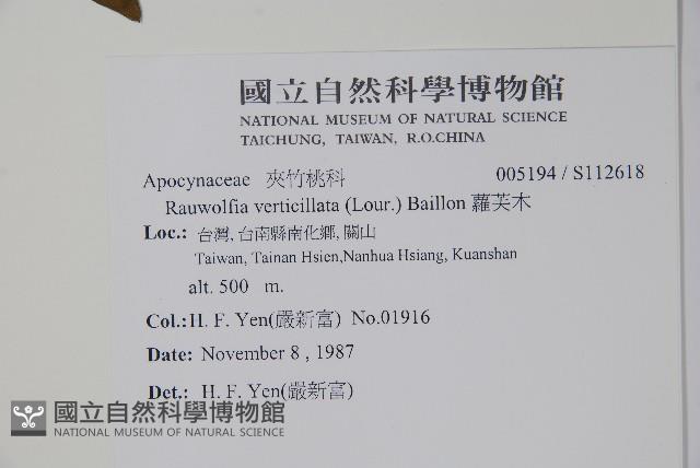蘿芙木藏品圖，第2張