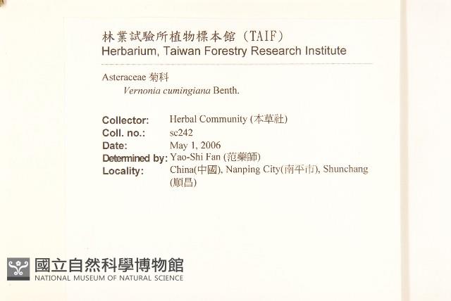 細脈斑鳩菊、毒根斑鳩菊藏品圖，第2張