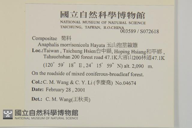 玉山抱莖籟簫藏品圖，第2張