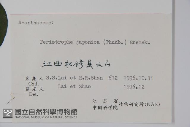 九頭獅子草藏品圖，第2張