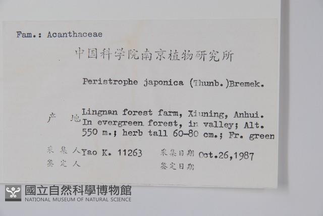 九頭獅子草藏品圖，第2張