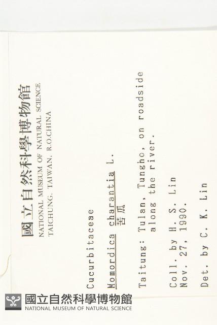 苦瓜藏品圖，第2張