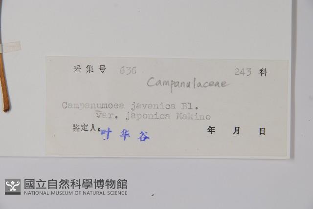 金錢豹藏品圖，第2張