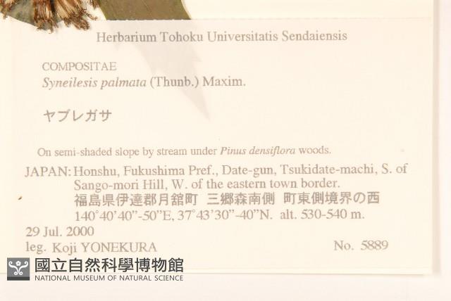 登錄號:S074618藏品圖，第2張