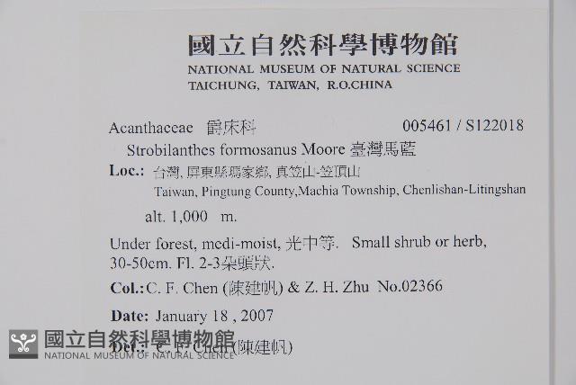 臺灣馬藍藏品圖，第2張