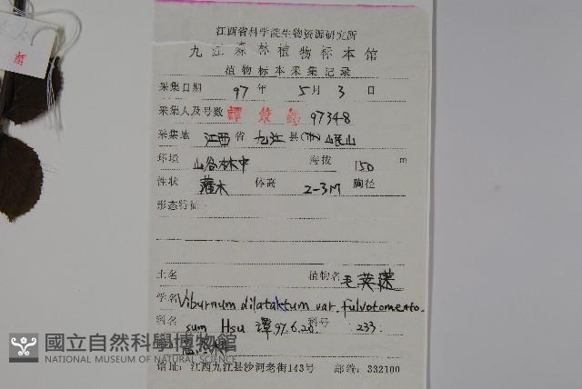 廬山莢迷藏品圖，第2張