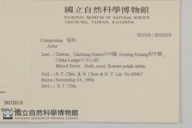 臺灣馬蘭藏品圖，第2張