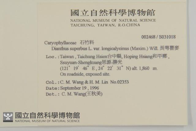 Accession Number:S031018 Collection Image, Figure 2, Total 2 Figures