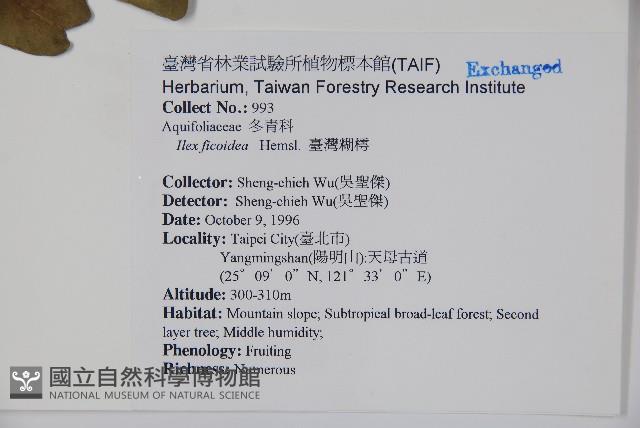 臺灣糊樗藏品圖，第2張