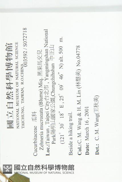 黑果馬交兒藏品圖，第2張