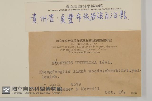 登錄號:S021718藏品圖，第2張