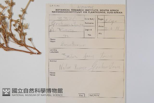 登錄號:S093718藏品圖，第2張