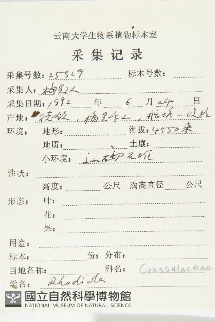 粗花烏頭藏品圖，第3張