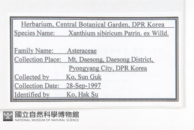 蒼耳藏品圖，第2張