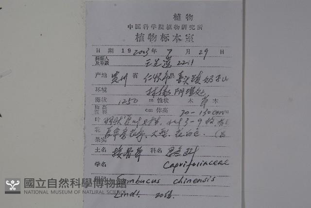 冇骨消藏品圖，第2張