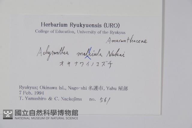 登錄號:S051218藏品圖，第2張