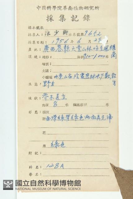 百色猴歡喜藏品圖，第2張