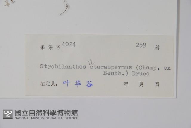 Accession Number:S044218 Collection Image, Figure 2, Total 2 Figures