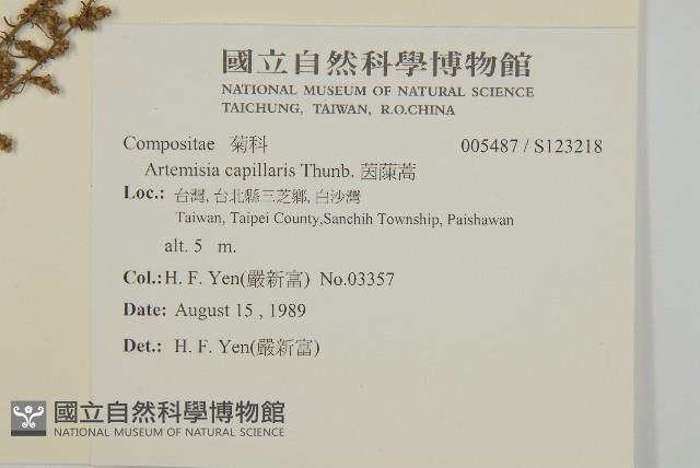 Mosquito wormwood Collection Image, Figure 2, Total 2 Figures