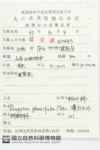 浙江柿藏品圖，第2張