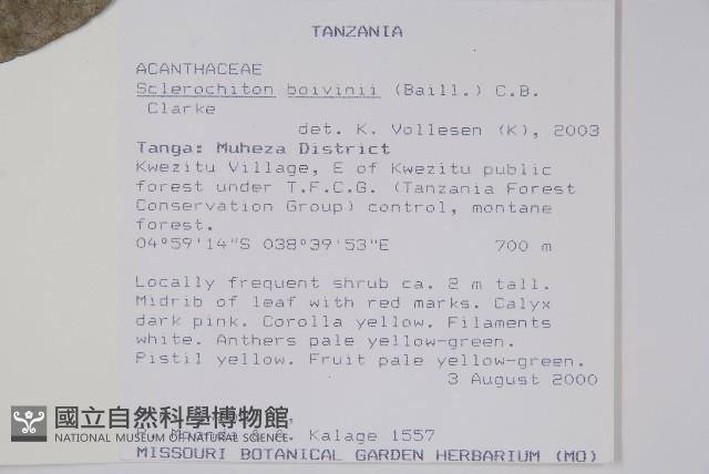 登錄號:S096418藏品圖，第2張