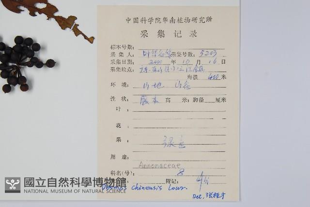 假鷹爪藏品圖，第2張