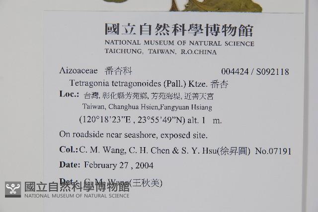 番杏藏品圖，第2張