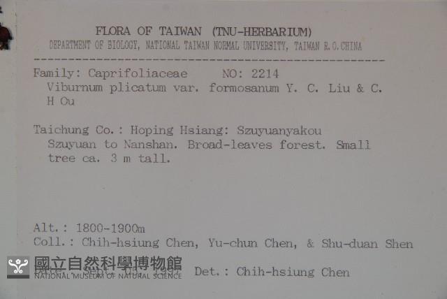 臺灣蝴蝶戲珠花、臺灣蝴蝶花藏品圖，第2張