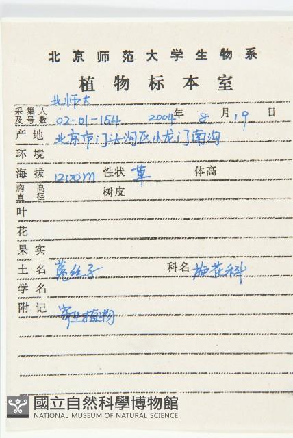 中國菟絲子藏品圖，第2張