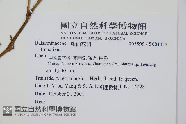 登錄號:S081118藏品圖，第2張