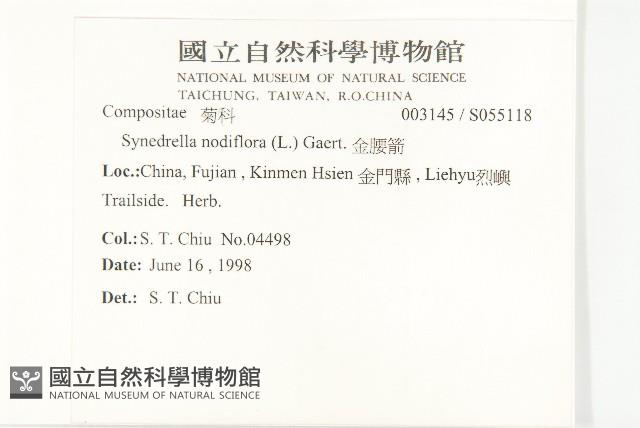 金腰箭藏品圖，第2張