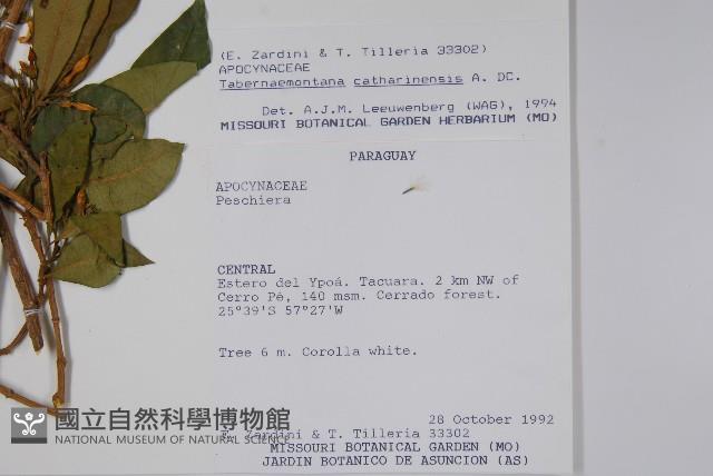 登錄號:S062318藏品圖，第2張