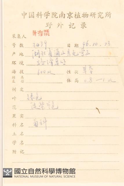 全葉馬蘭藏品圖，第2張