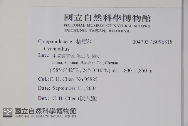 登錄號:S096818藏品圖，第2張