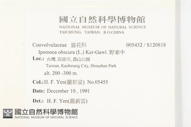 野牽牛藏品圖，第2張