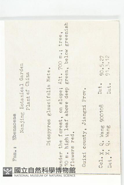 浙江柿藏品圖，第2張