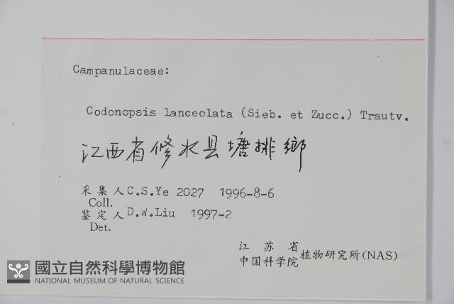 羊乳、四葉參藏品圖，第2張