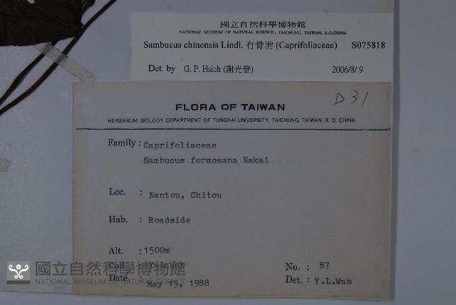 冇骨消藏品圖，第2張