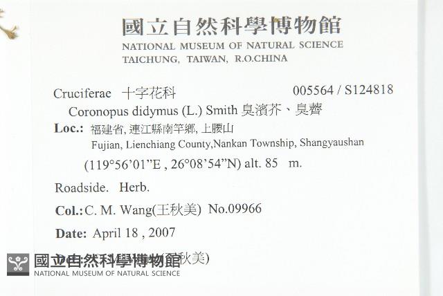 Accession Number:S124818 Collection Image, Figure 2, Total 2 Figures