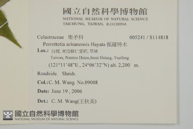 佩羅特木藏品圖，第2張