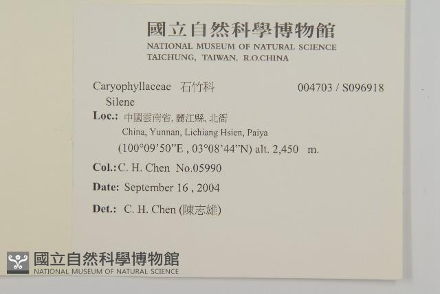 登錄號:S096918藏品圖，第2張