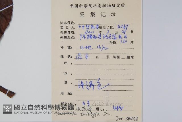 水東哥藏品圖，第2張