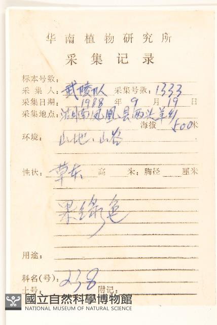 華麻花頭藏品圖，第2張