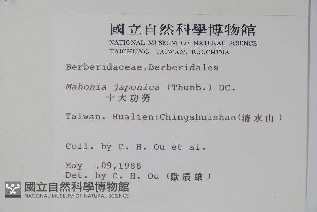 十大功勞藏品圖，第2張